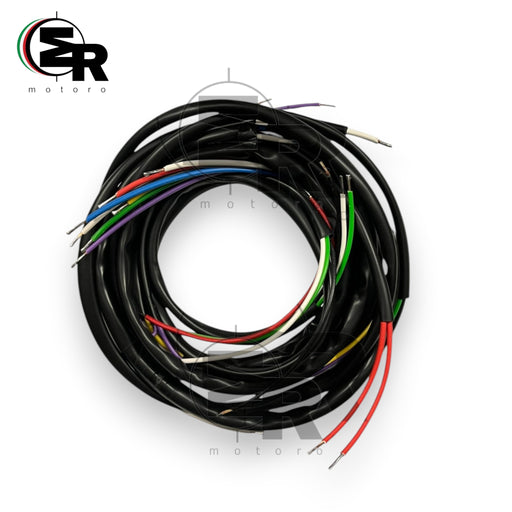 IMPIANTO ELETTRICO MV AGUSTA 150 RS/RSS | MotoRo Motorparts