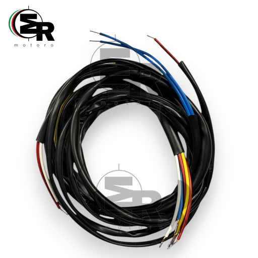 IMPIANTO ELETTRICO MOTO GUZZI TROTTER | MotoRo Motorparts