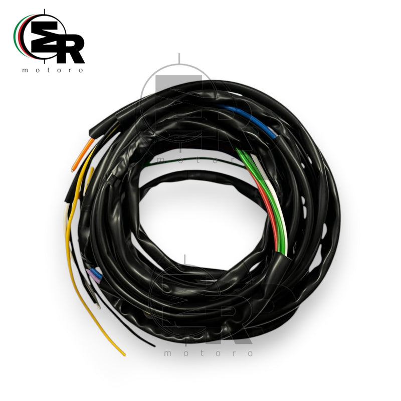 IMPIANTO ELETTRICO GILERA GIUBILEO 98/150/175 CC | MotoRo Motorparts