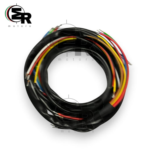 IMPIANTO ELETTRICO MOTO BIANCHI MENDOLA 125 | MotoRo Motorparts