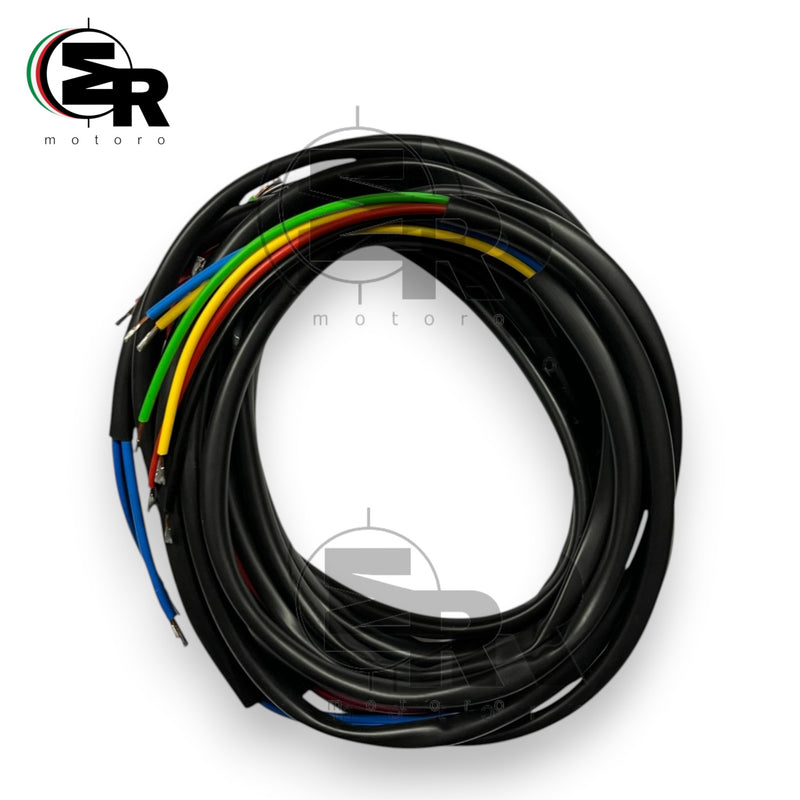 IMPIANTO ELETTRICO MOTO MONDIAL CHAMPION 125 CON BATTERIA | MotoRo Motorparts