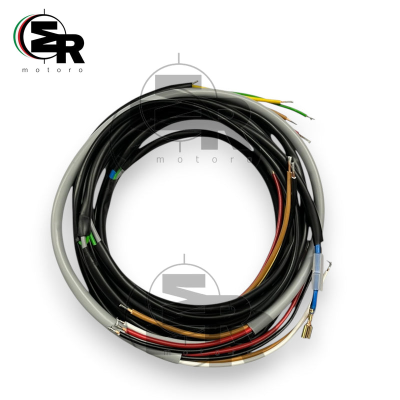IMPIANTO ELETTRICO MOTO MAICO MD 50 | MotoRo Motorparts